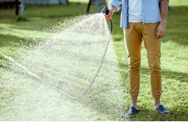 Discover how improper watering habits could harm your lawn